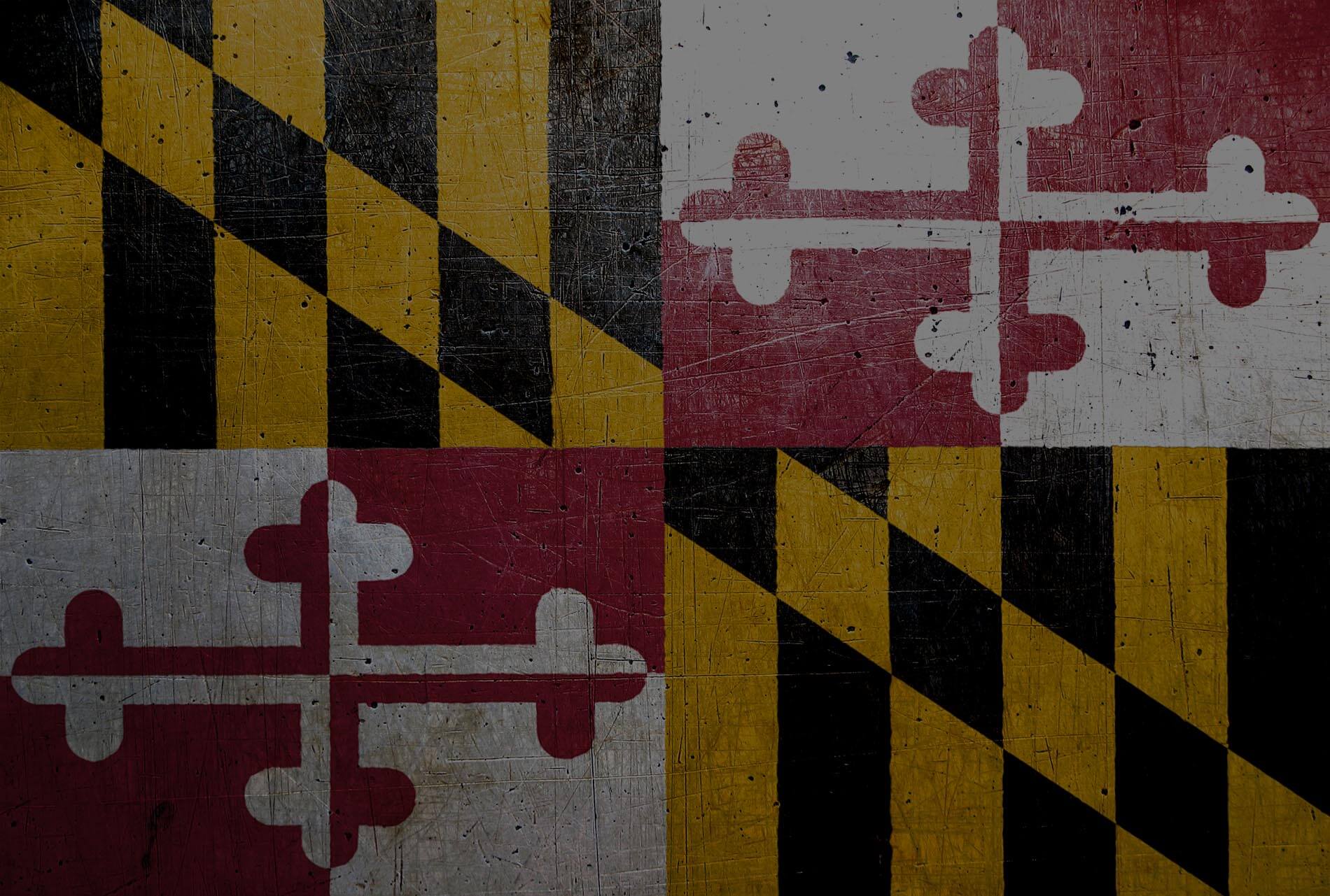 Chad in Edgewater Maryland Flag