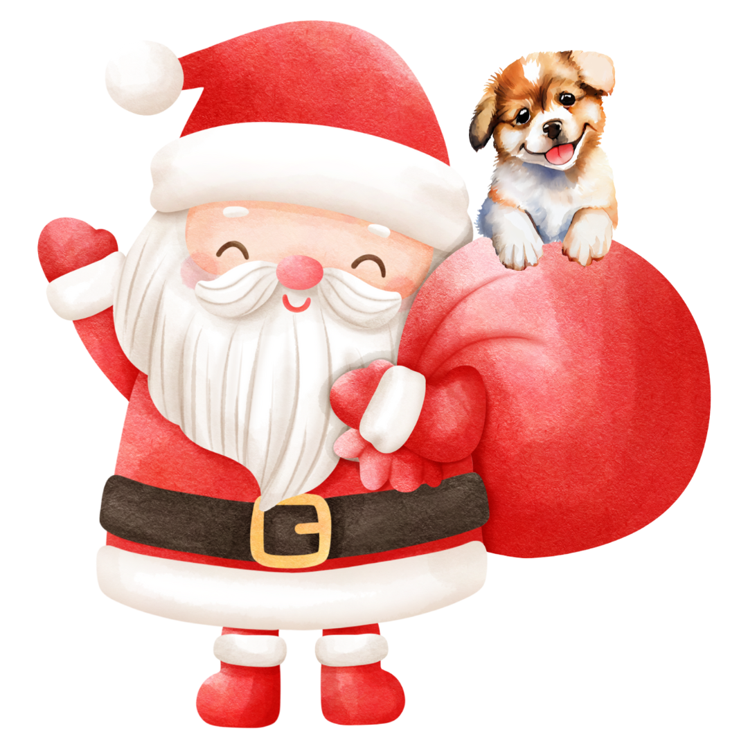 Santa and Puppy